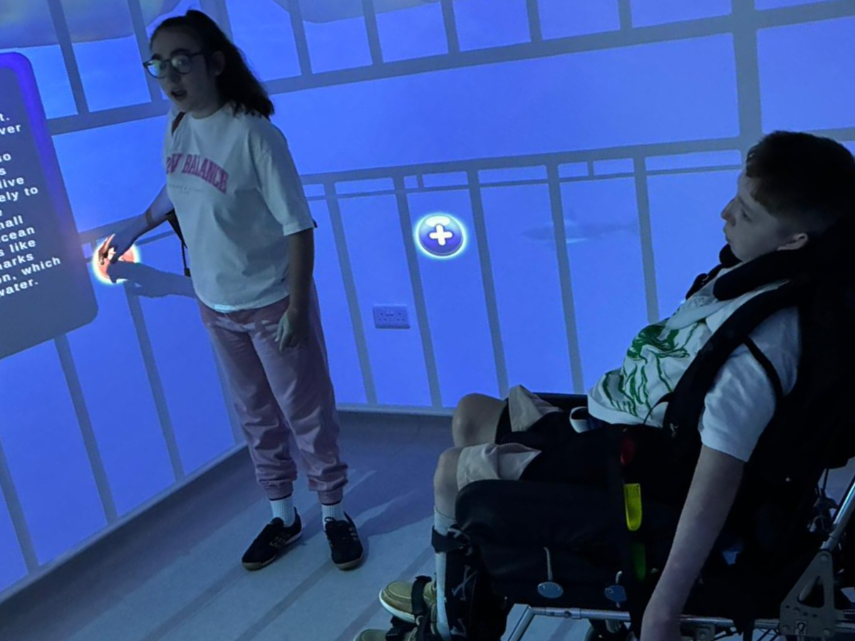 Discover Immersive Room Therapy at Hebburn Day Care