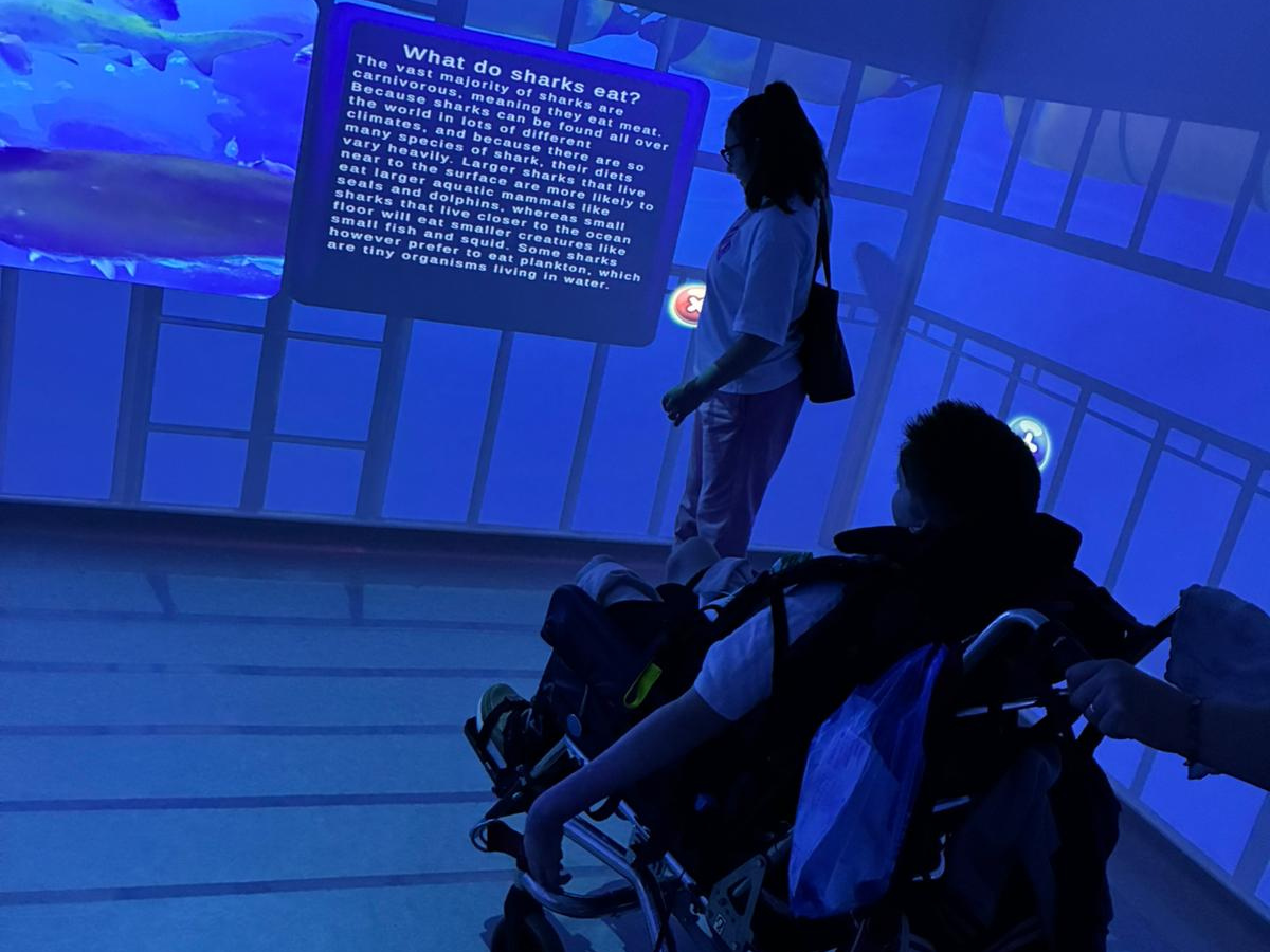 Discover Immersive Room Therapy at Hebburn Day Care